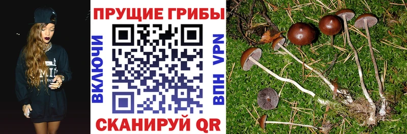 mega сайт Пролетарск shop Telegram что такое Галлюциногенные грибы ЛСД