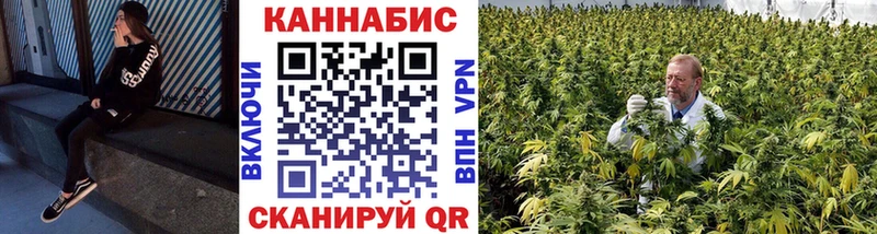 закладки  Пролетарск  сайты даркнета наркотические препараты  МАРИХУАНА ГИДРОПОН  гидра онион 